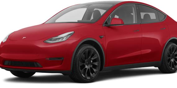 TESLA MODEL Y 2021 5YJYGDEE0MF241834 image